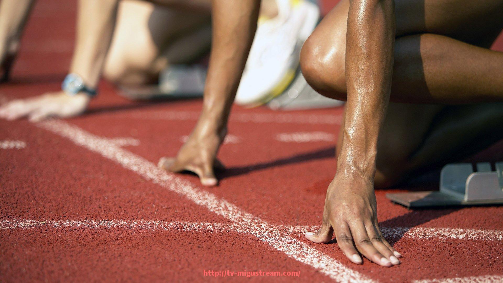 咪咕体育直播-欧冠11冠：夺得欧冠11次的球队历史回顾与成绩分析