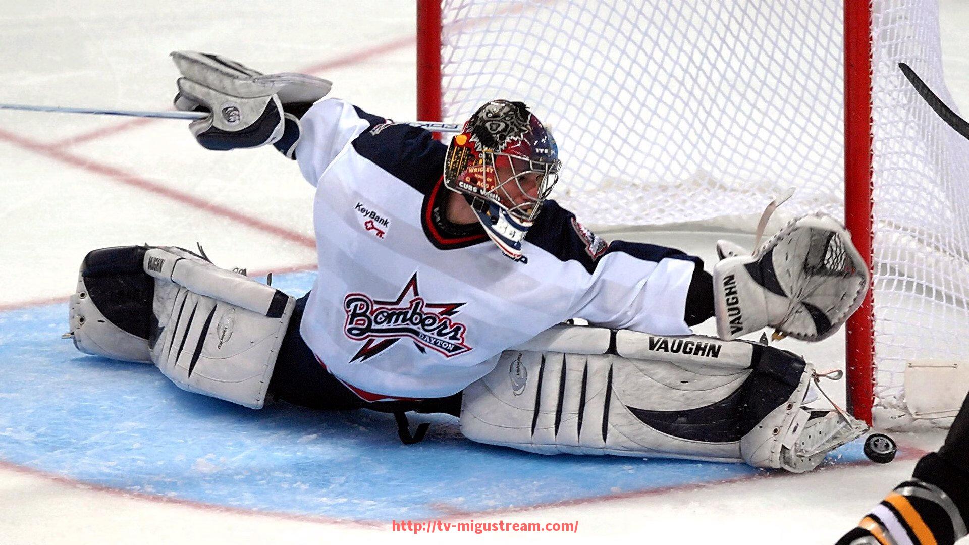 咪咕体育直播-郑州哪里可以买到优质健身器材？热门购买地点一览